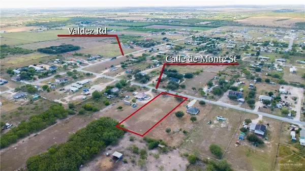 Monte Alto, TX 78538,25114 Del Monte