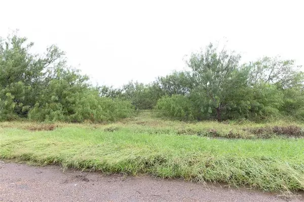 Progreso Lakes, TX 78596,000 Industrial DR