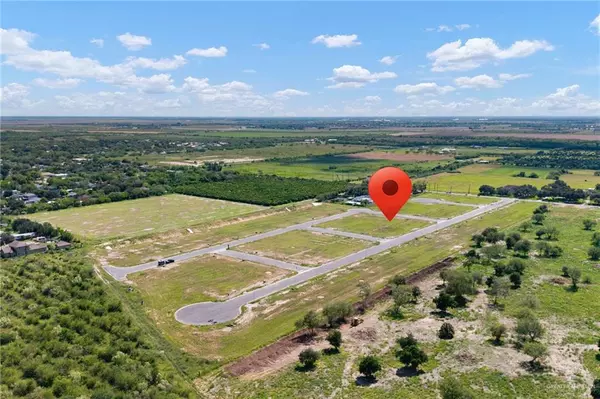 Weslaco, TX 78596,0040 Blueberry ST