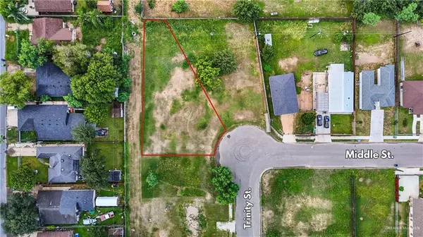 Alamo, TX 78516,917 Trinity ST