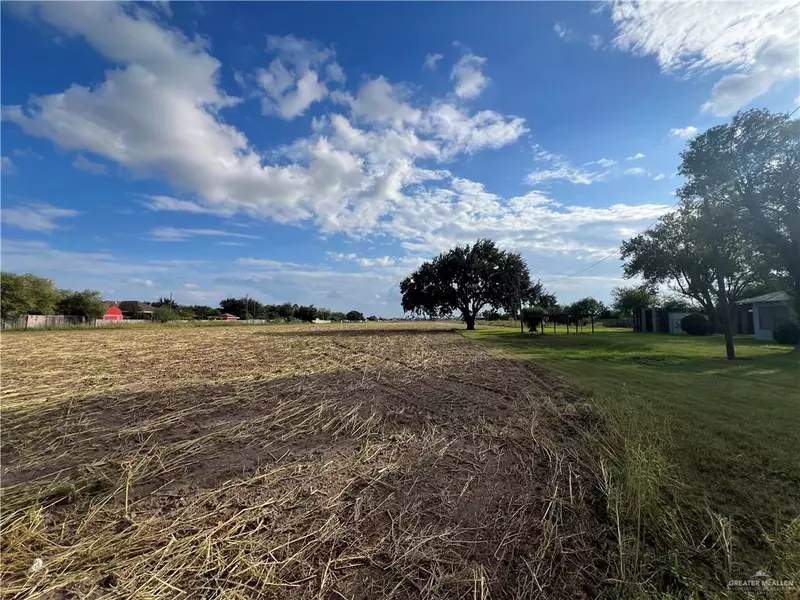 351 Sioux RD, Alamo, TX 78516