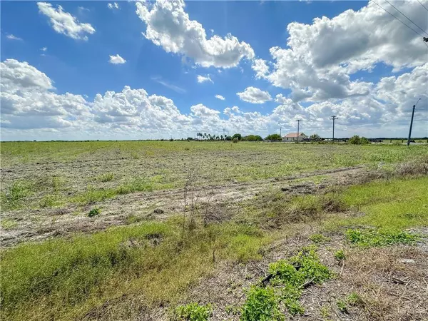 Raymondville, TX 78580,40 Acres +/- FM 1761