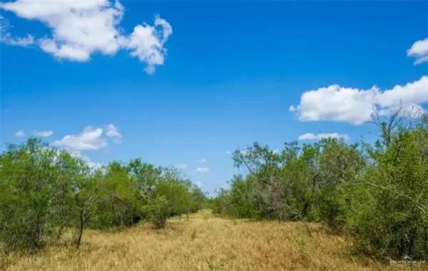 Linn, TX 78563,35700 FM 3250 S