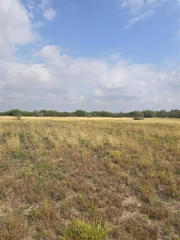 Edinburg, TX 78541,0000 Davis RD