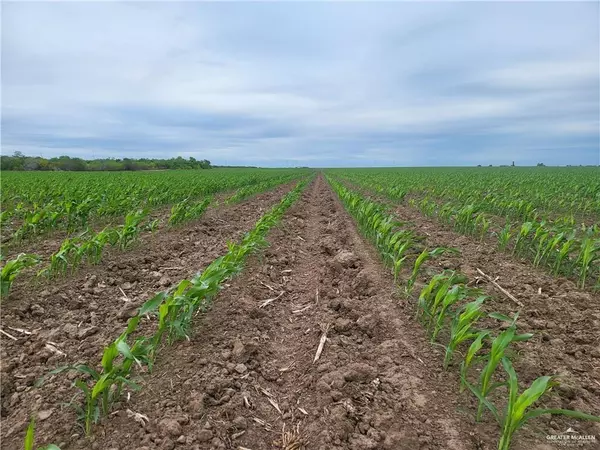 Lyford, TX 78569,24590 Uncle Peters RD