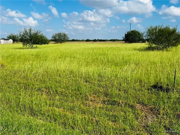 Santa Maria, TX 78559,00 N La Siesta CIR N