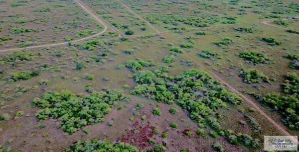 Encino, TX 78353,327.27 CR 313 N