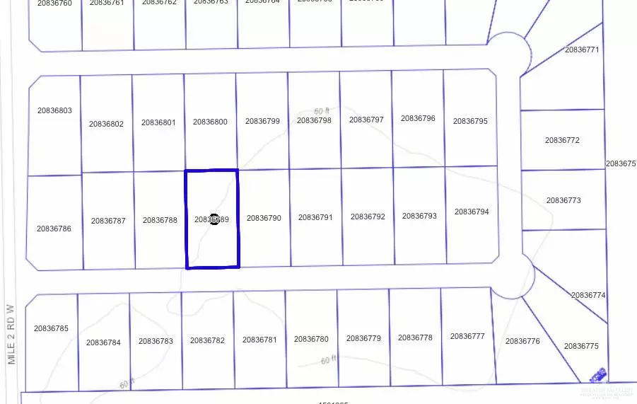 Mercedes, TX 78570,0000 Lupita ST