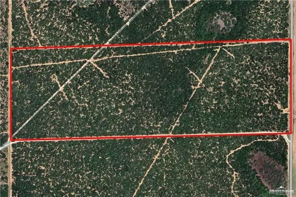 Edinburg, TX 78542,0 N Brushline RD