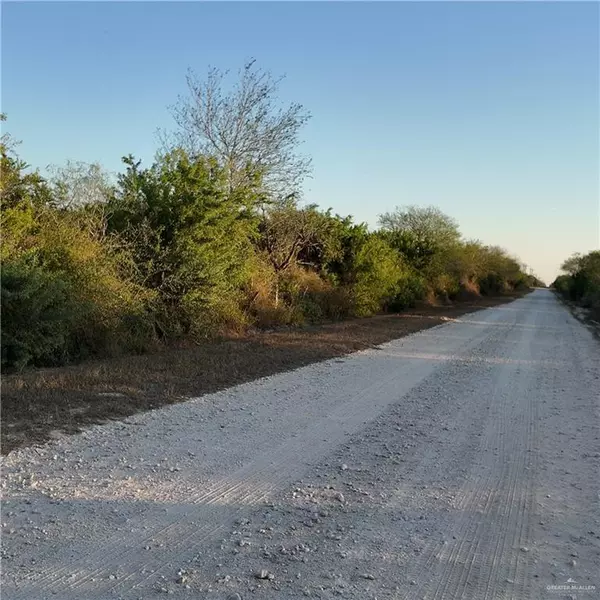 Encino, TX 78353,00 CR 313