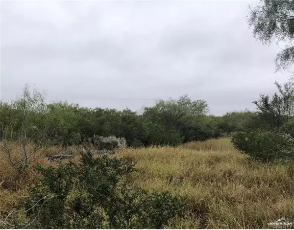 Roma, TX 78584,00 N Ebony AVE