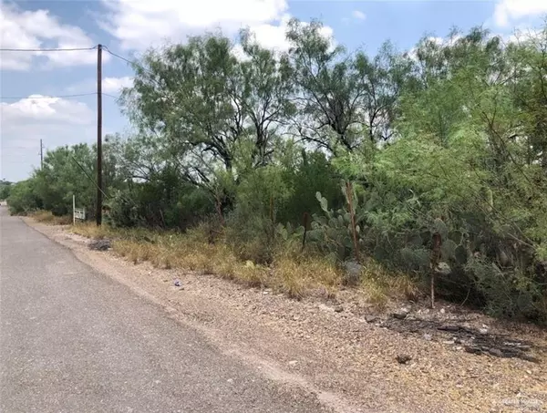 Roma, TX 78584,00 N Ebony AVE