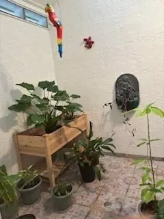 Mcallen, TX 78504,209 E Yucca AVE E