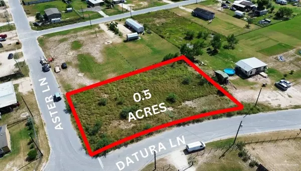 Edinburg, TX 78541,13809 Aster LN