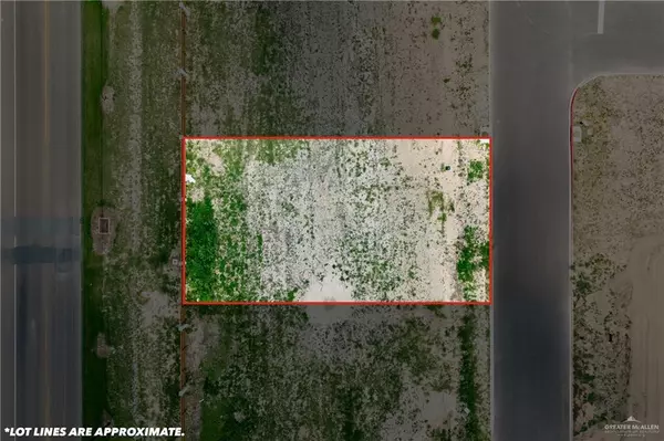 Edinburg, TX 78542,2321 N Gaytan AVE