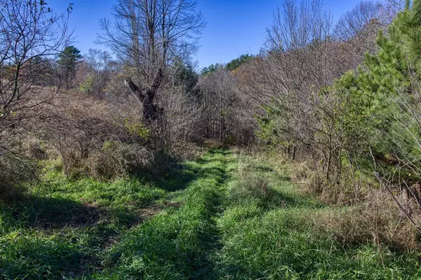 Wellington, WI 54651,25024 Norhardt