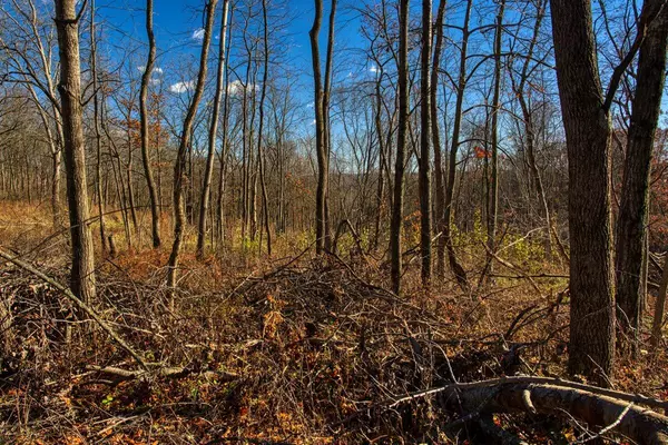 Clayton, WI 54655,0 Turben Ridge