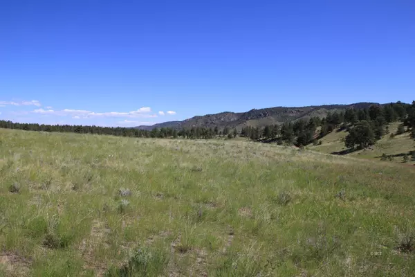 Westcliffe, CO 81252,Tract 5 Patriot Circle