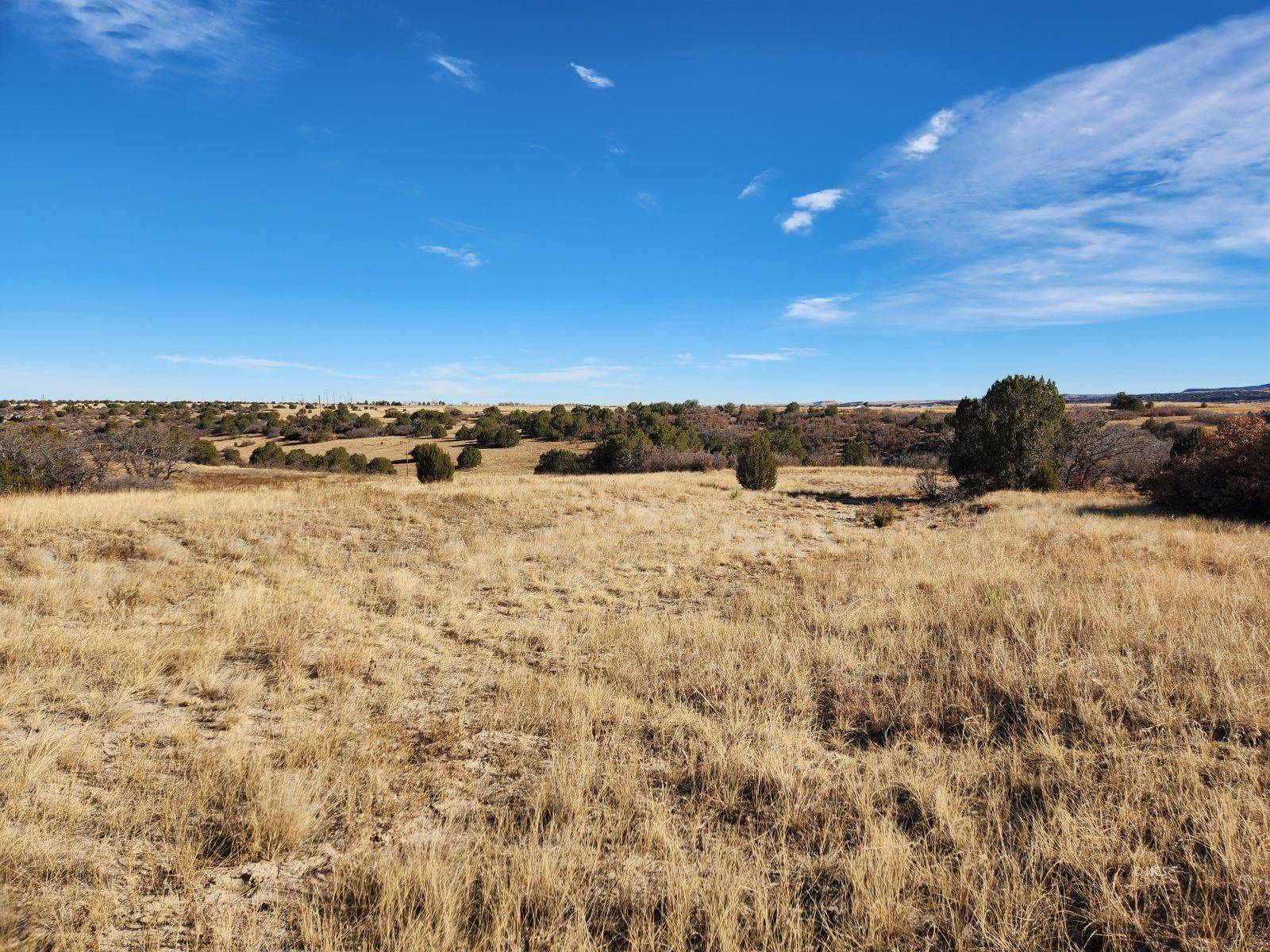 Colorado City, CO 81019,TBD Fairplay Place #12