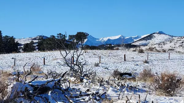 1114 Kit Carson Trail, Cotopaxi, CO 81223