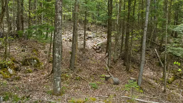 Val-des-monts, QC J8N6E5,4 Ch. du Rouge-Gorge