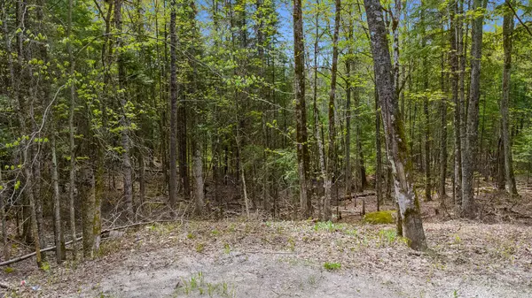 Val-des-monts, QC J8N6E5,4 Ch. du Rouge-Gorge