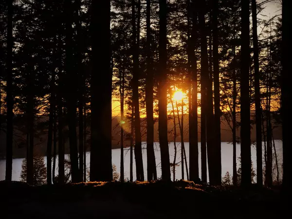 Mont-tremblant, QC J8E1T1,Ch. des Skieurs