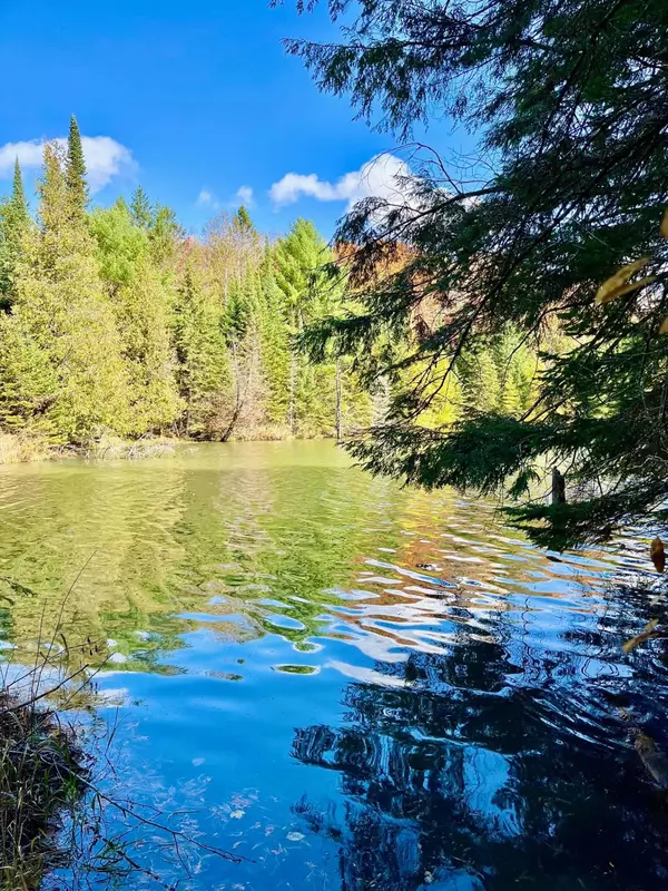 La Pêche, QC J0X1S0,29 Ch. des Pins-Blancs