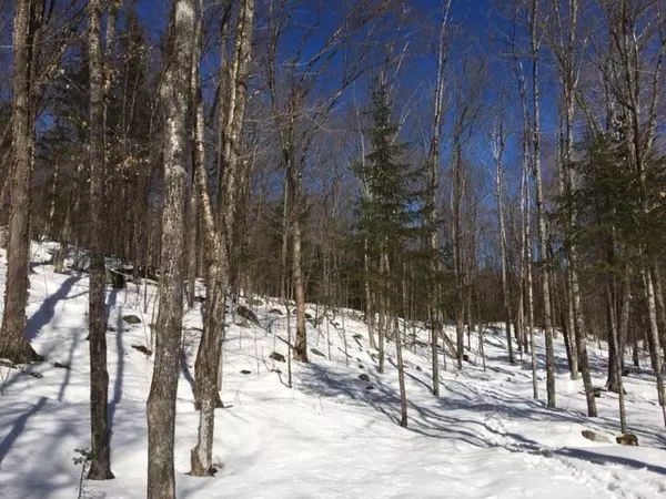 Lac-des-écorces, QC J0W1H0,Ch. de la Pisciculture