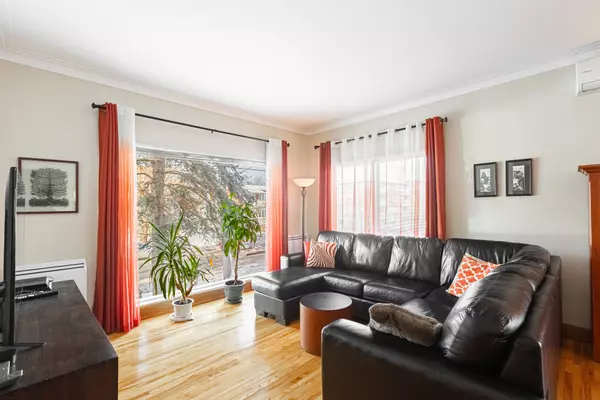 Montréal (Rosemont/la Petite-Patrie), QC H1X1G1,3950 Rue St-Zotique E.