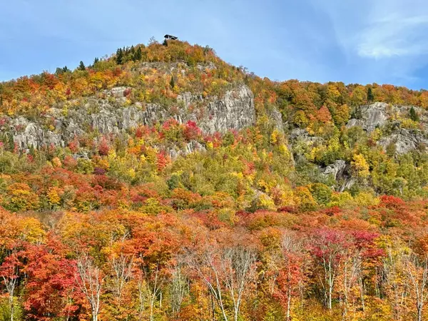 Mont-Tremblant, QC J8E0A8,1520 Ch. du Versant-Soleil #05