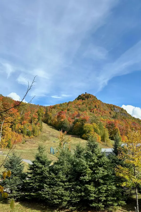 Mont-Tremblant, QC J8E0A8,1520 Ch. du Versant-Soleil #05