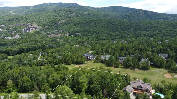 Mont-Tremblant, QC J8E3L8,Ch. de la Réserve