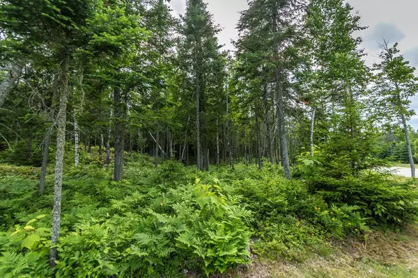 Mont-tremblant, QC J8E1C6,224 Ch. de la Réserve