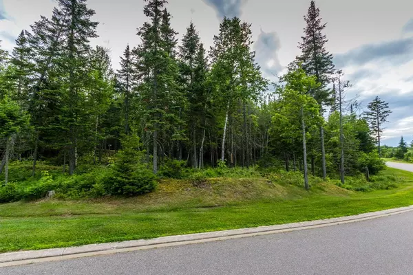 224 Ch. de la Réserve,  Mont-tremblant,  QC J8E1C6