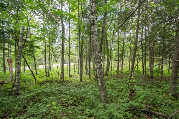 Mont-tremblant, QC J8E1C6,224 Ch. de la Réserve