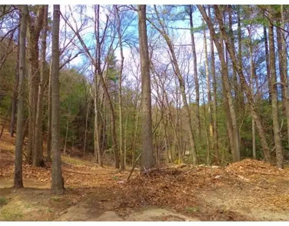 Palmer, MA 01069,0 Squire  St