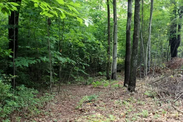 Wendell, MA 01379,Lot 56.2 Locke Hill Road