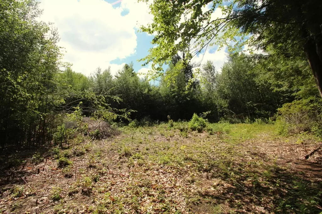 Wendell, MA 01379,Lot 56.2 Locke Hill Road