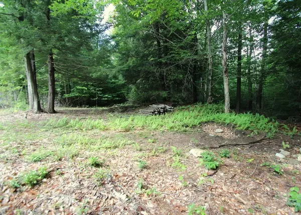 Wendell, MA 01379,Lot 56.2 Locke Hill Road