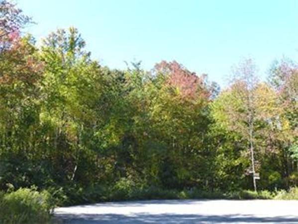 Athol, MA 01331,Lot 2, Dana Street