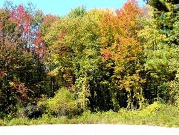 Athol, MA 01331,Lot 2, Dana Street