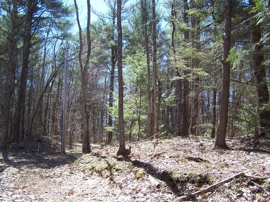 Rutland, MA 01543,90 Bushy Lane