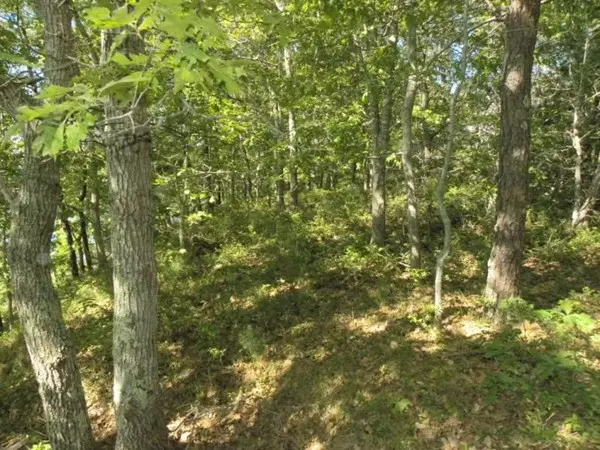 Mashpee, MA 02649,35 Quaker Run