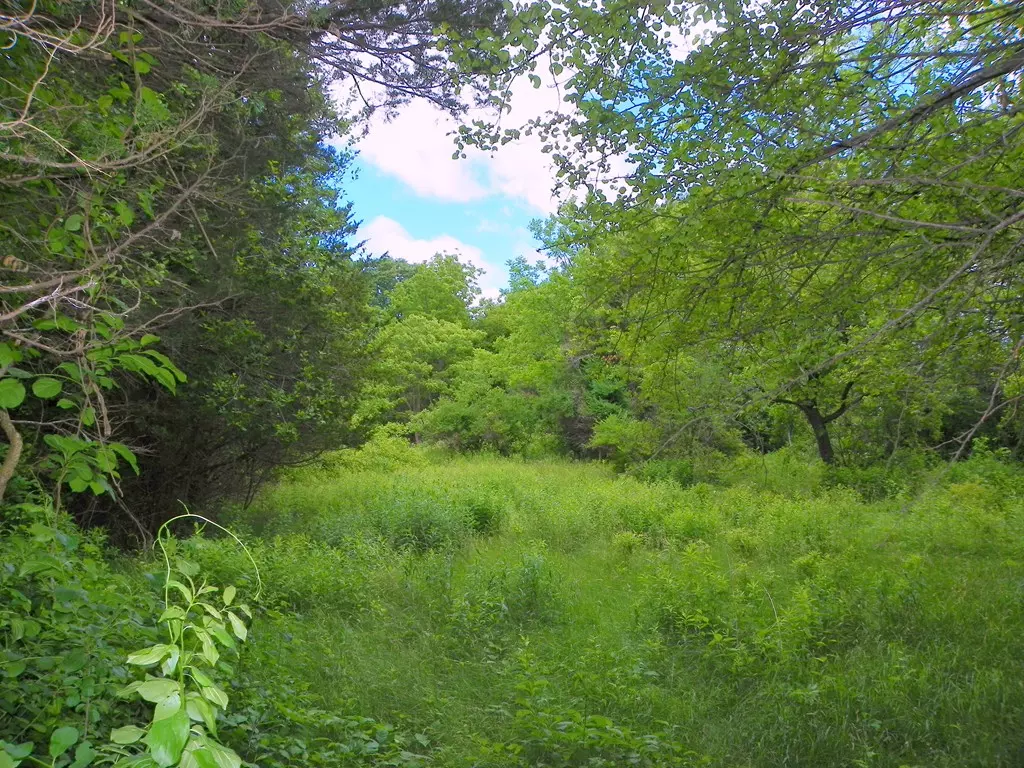 Newbury, MA 01951,54 Hay