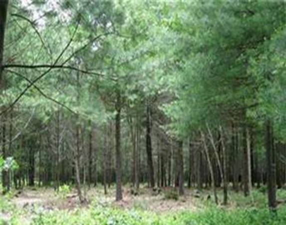 Lot 2 South St., Middleboro, MA 02346