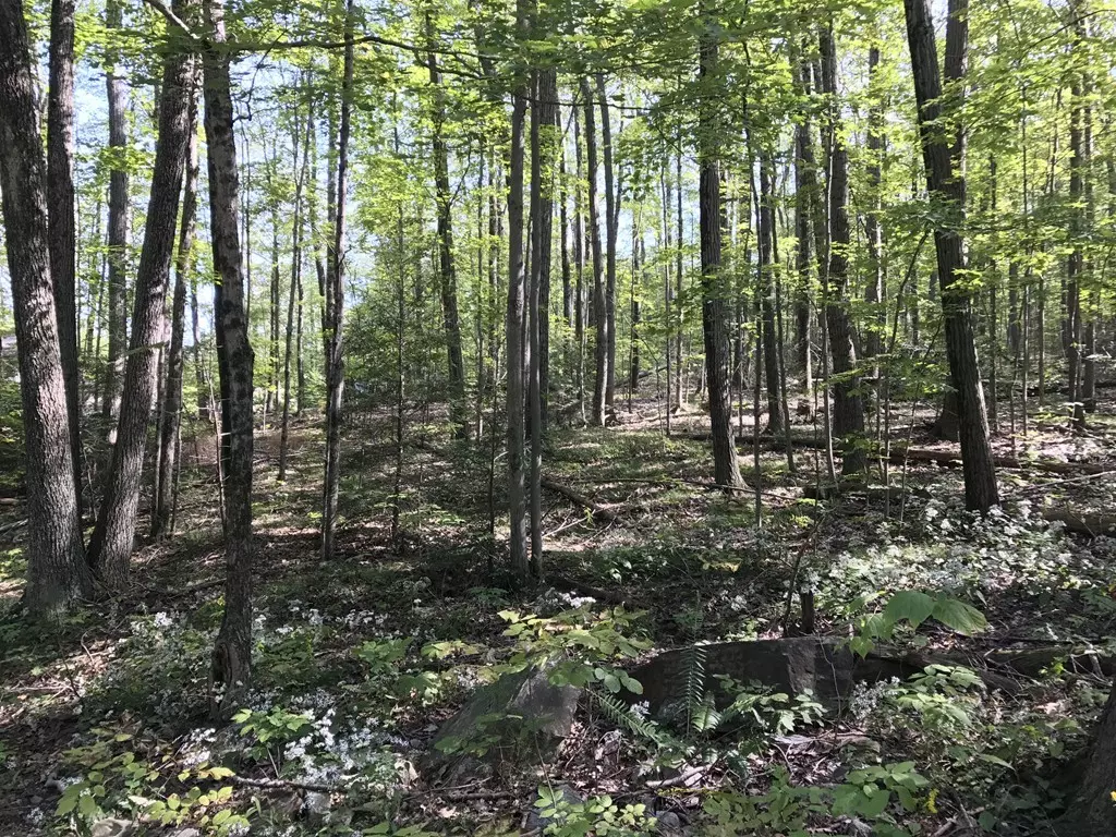 Sturbridge, MA 01566,11 Carey Rd