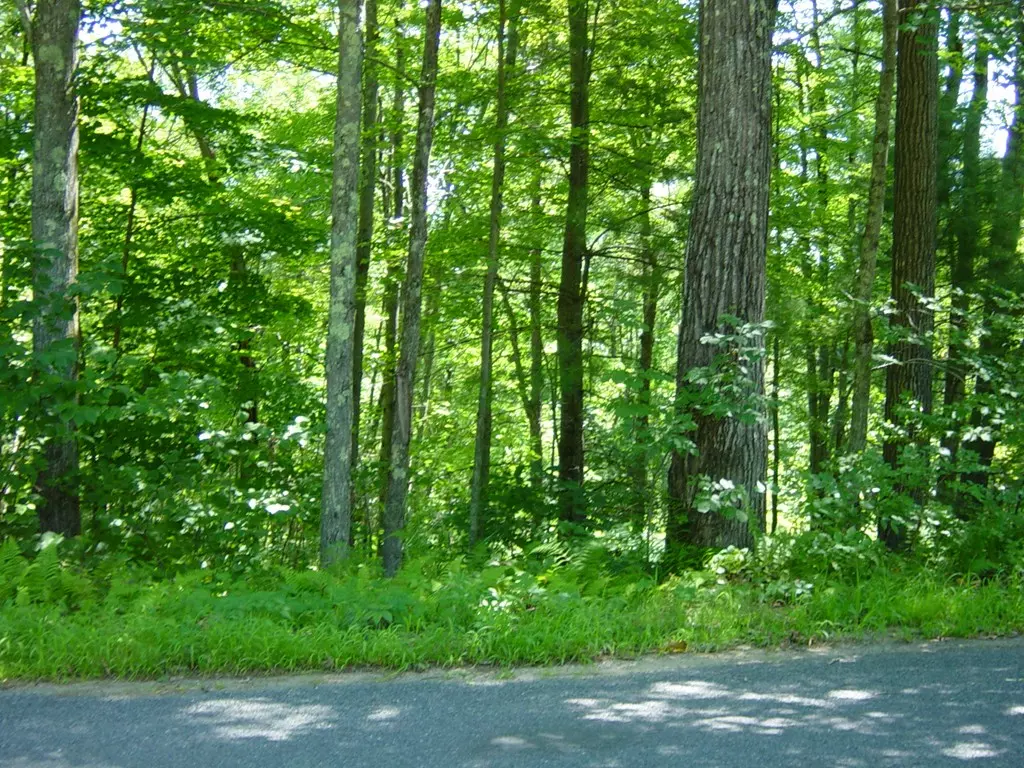 Ware, MA 01082,0 Old Poor Farm