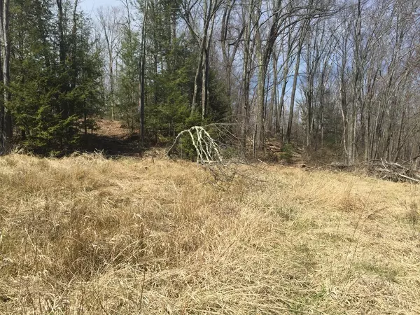 Southwick, MA 01077,22 Nicholson Hill Rd