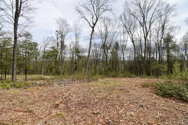 Northampton, MA 01062,1093 Westhampton Rd